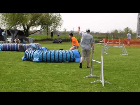 Agility Turnier Monor, Amber, A1