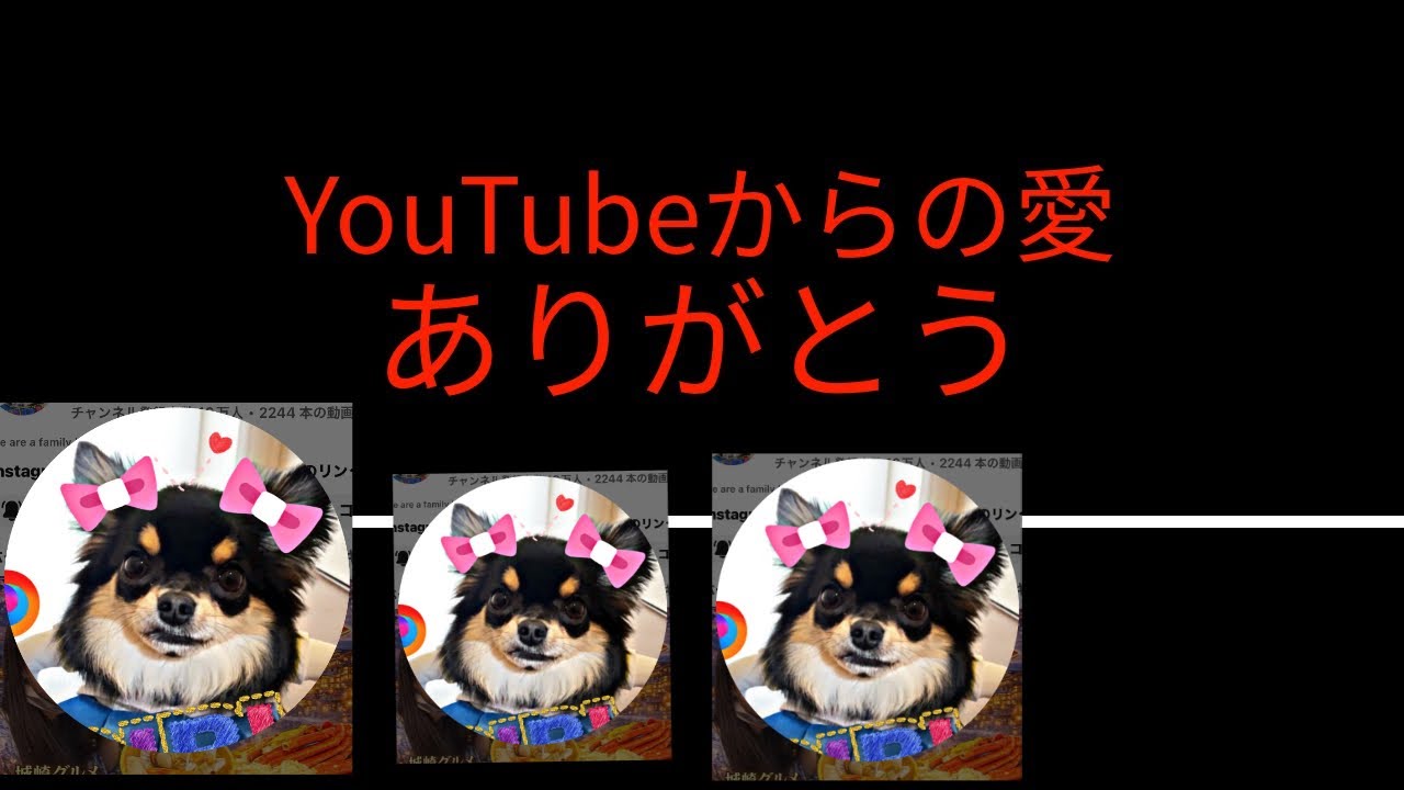 【185】繋がろう、このご縁に感謝💖 Let’s stay connected. I’m grateful for this wonderful connection.