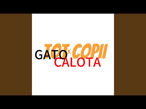 TOT COPII (feat. Calota)
