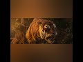 Mowgli Clip In Italiano Shere Khan