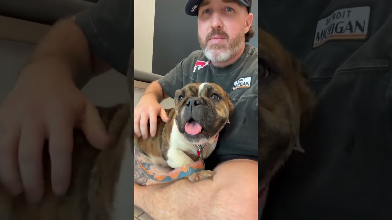 Smore's video
