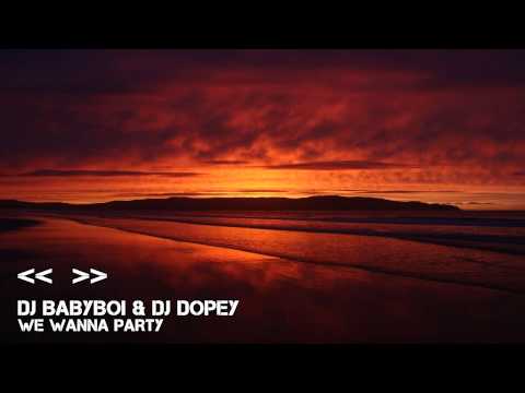[07/14] DJ Babyboi & DJ Dopey - We Wanna Party