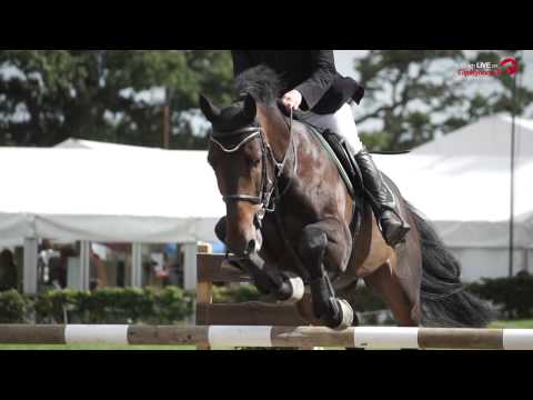 Millstreet International 2015 - Around the Green Glens Arena