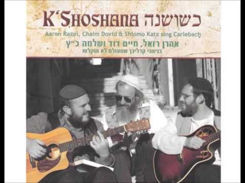 קול מבשר - אהרן רזאל, חיים דוד ושלמה כ"ץ - Kol Mevaser - Aaron razel, Chaim Dovid & Shlomo katz