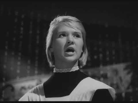 Дикая собака динго cut part2