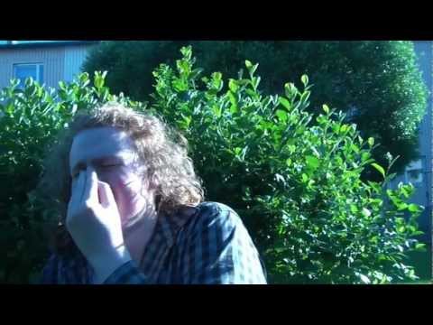 Det Där Snacket Vi Alla Har Varit Med Om