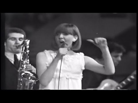 CILA BLACK  WITH SOUNDS INCORPORATED. [ ZIP-A-DEE-DO ]  (1965 New Musical Express Concert, Wembly)