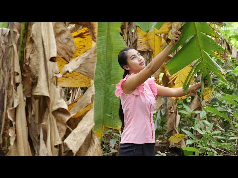 How to cook traditional Khmer cake in my homeland - Healthy food