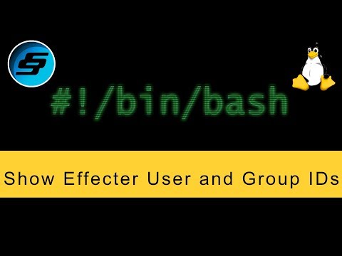 Show Effecter User and Group IDs id Bash Scripting