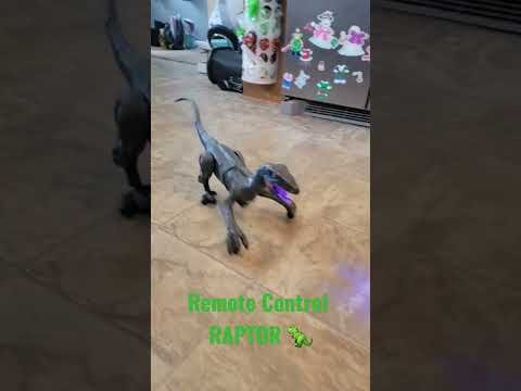 Remote Control Raptor