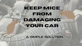 REPEL MICE FROM YOUR VEHICLE WITH A SIMPLE SOLUTION