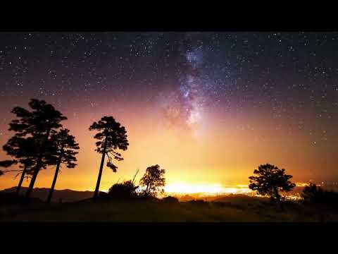 Manu Manu and Robotic Dub