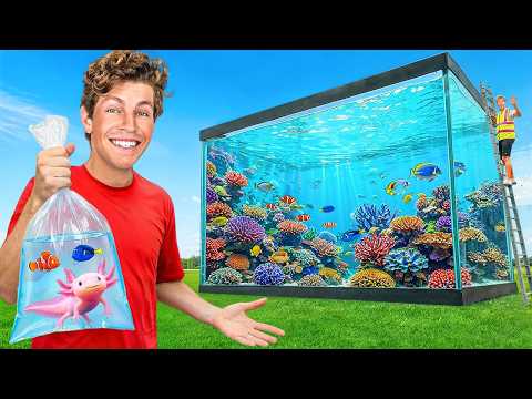 I Built TINY vs GIANT Fish Tanks!