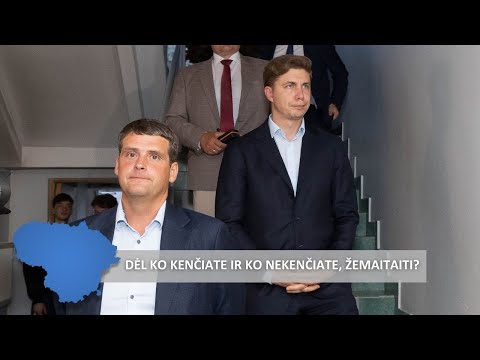 Žemaitaitis, Varnas, Razmislevičius, Mitrofanovas: kas dominuoja koalicijoje?