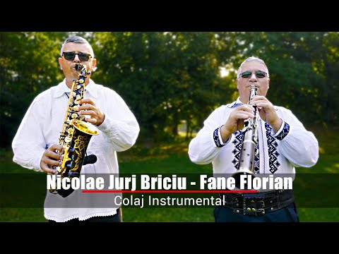 Nicolae Jurj Briciu si  Fane Florian -  Colaj instrumental