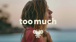 girl in red - Too Much (lyrics)