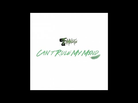 FuNNeTs - Can't Rule My Mind
