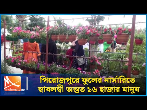 পিরোজপুরে ফুলের নার্সারিতে স্বাবলম্বী অন্তত ১৬ হাজার মানুষ | Mohona TV