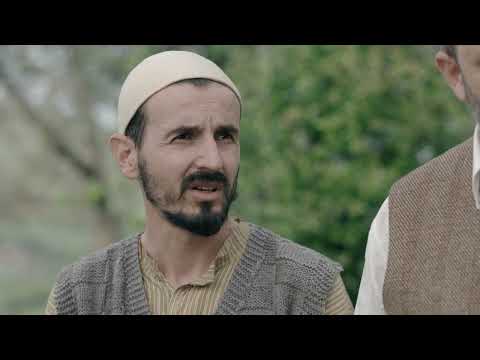 TREGIME FILMIKE- HESHTJA VRET