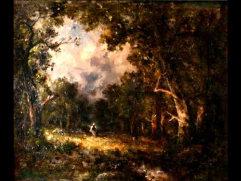 Franz Liszt - Mephisto Walzer No.1