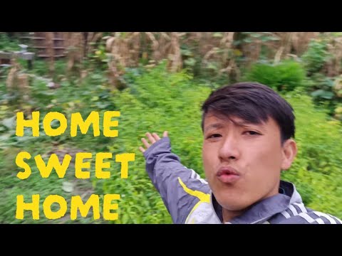 Journey To Most Beautiful Place In The World🌾|Umbing|#vlog 