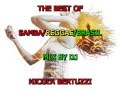 THE BEST OF SAMBA REGGAE BRASIL MIX DJ NICOLA BERTUZZI