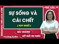 Sự sống và cái chết | Ngữ văn 10 - Kết nối tri thức