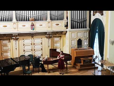 J. C. Schickhardt - Op. 17. No. 2. d minor recorder sonata