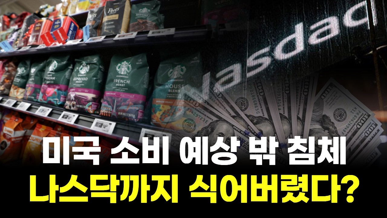 미국 소비 예상 밖 침체...나스닥까지 식어버렸다?