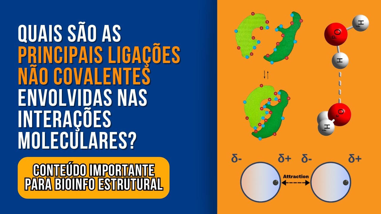 Interações entre Moléculas Biológicas: Principais Ligações Não Covalentes