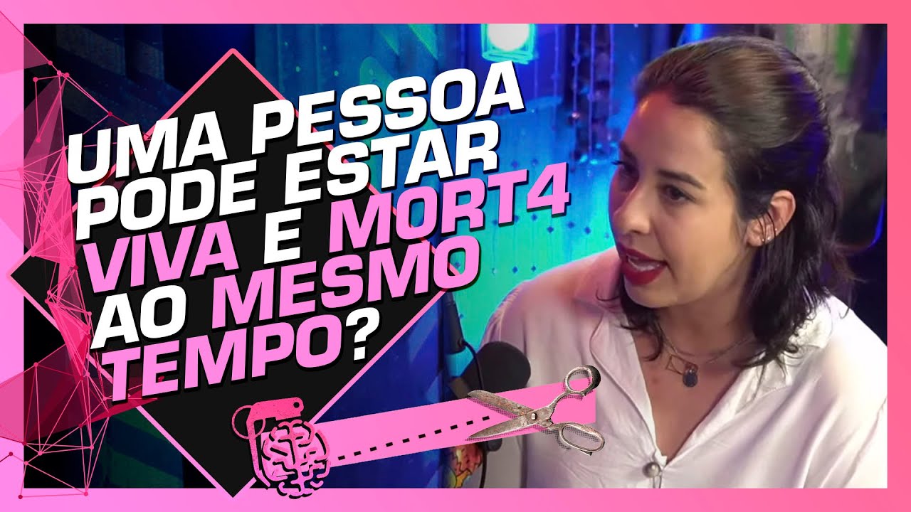 CIENTISTA EXPLICA O QUE É GATO DE SCHRÖDINGER - GABRIELA BAILAS (FÍSICA E AFINS)