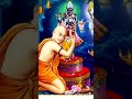 Sri Chaitannya Mahaprabhu Video Love Like Ytshorts Trending Subscribe Song Iskcon