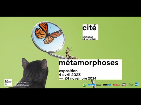 Teaser de l'exposition Métamorphoses © Cité des sciences et de l'industrie