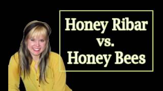 Honey Ribar vs. Honey Bees | Radar Radio with Megan Carver