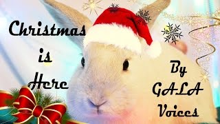 ☆ NEW CHRISTMAS SONG 2016 - 2017 | Christmas Is Here | by GALA Voices ☆