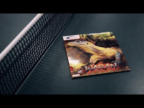 [TT] Spinlord Waran - Der Allesfresser?!