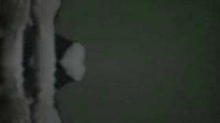 Patrick Wolf - Wind In The Wires