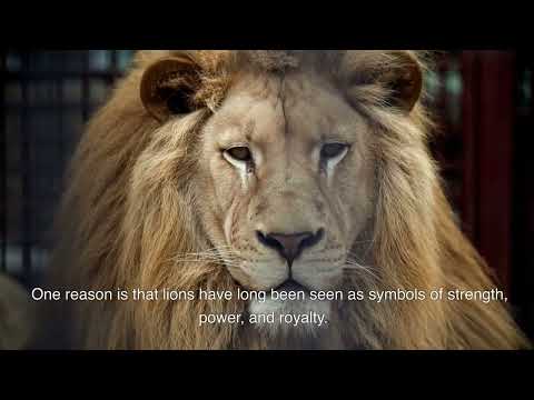 Random Questions about History to AI