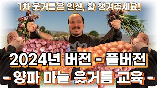 2024년 마늘, 양파 웃거름 교육 풀버전! 마늘 양파 웃거름 비료 추천과 시기까지 다 알려드립니다! | 농…