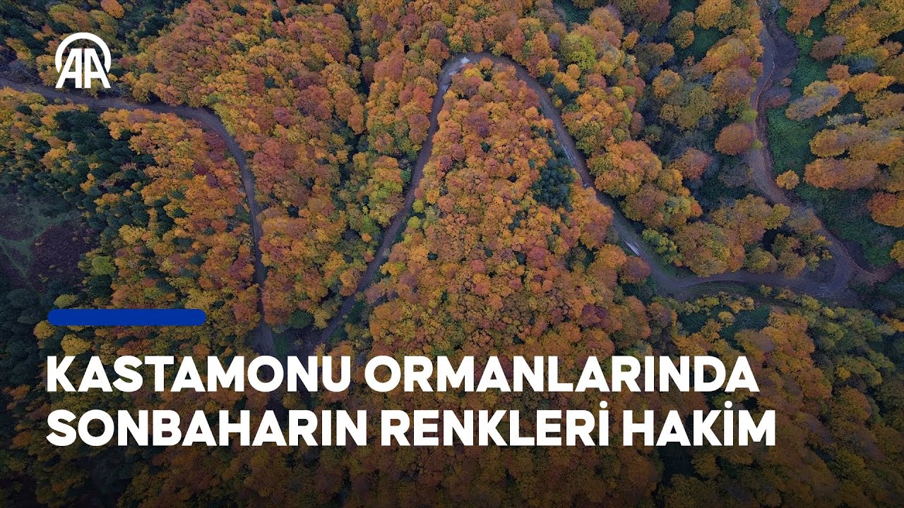 Sonbaharla birlikte farklı renklere kavuşan Kastamonu ormanları