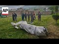 Two Aircraft Reported To Have Crashed In Indian Controlled Kashmir