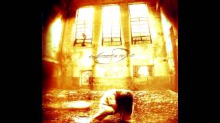 Disarmonia Mundi - Shattered Lives and Broken Dreams