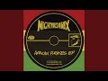 African Pirates (JD73 Remix)