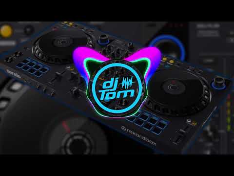 SNAP!  -  Rhythm Is A Dancer  (REMIX DJ TOM)