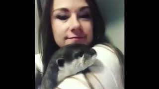 Ржака до слез Приколы ДЕКАБРЬ 2018 18 + Угар. новые приколы. Супер приколы. fail compilation # 256