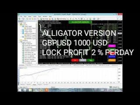 Video Alligator Version Lock Profit Ea