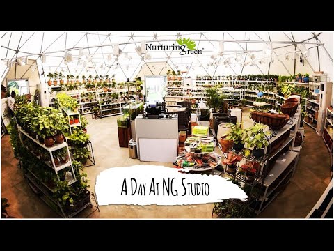 , title : 'Spend a day with Greens - A Tour at NG Garden Store, Gurgaon'