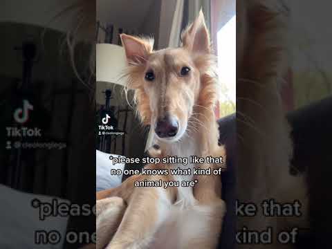 "I just want to be...appreciated"