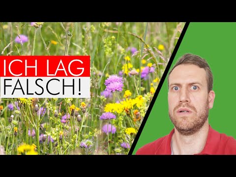 Apology & clarification 👉 This is how you mow meadows & edges correctly!