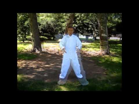 Maestro Xu Zaiguang, arti marziali cinesi  al Parco Sempione, Milano e a Cusano Milanino